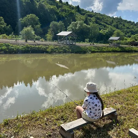 в тиші келечина *